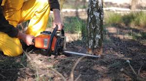 Best Lot and Land Clearing  in USA